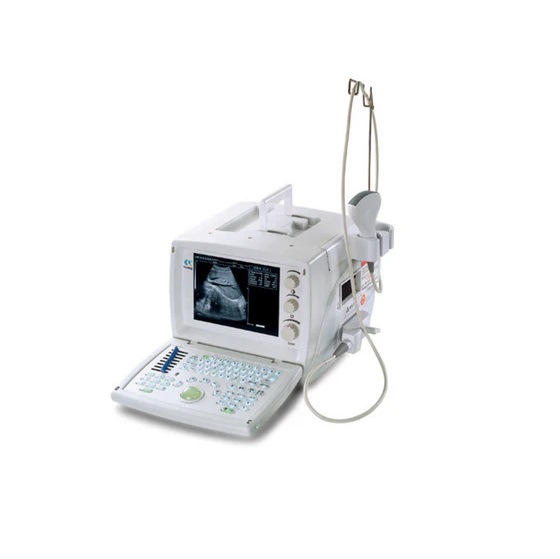 Ultrasound Black White basic portable 9.7″ WED9618